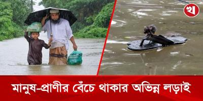 ইঁদুরের ছেড়া স্যান্ডেলে আশ্রয়:যেন বন্যার্ত মানুষের প্রতিচ্ছবি